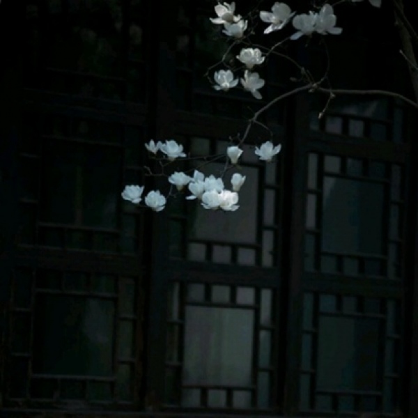 川/黑色系