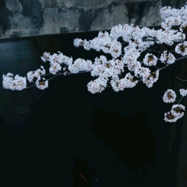 川/黑色系