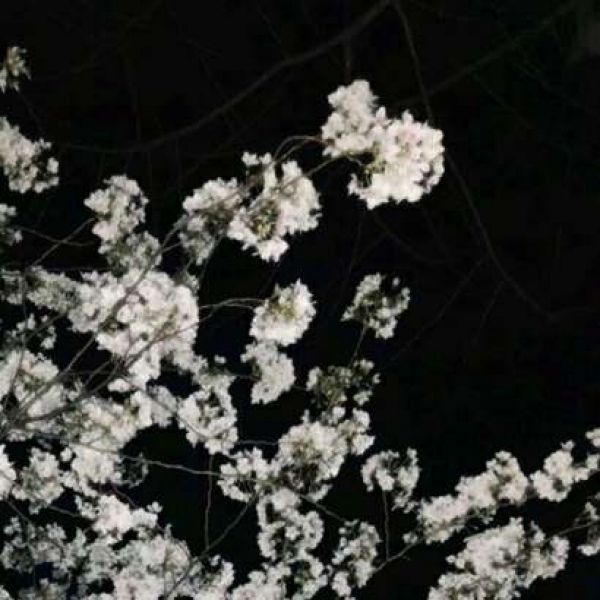 川/黑色系