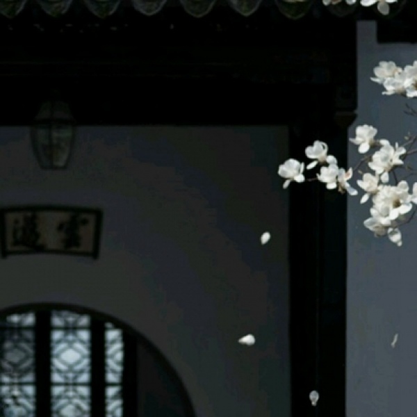 川/黑色系