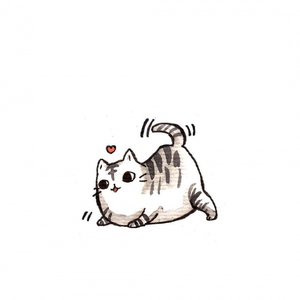 白灏宇:风景静物头像/猫咪/动漫/ 你总是能成为我热爱生活的原因
