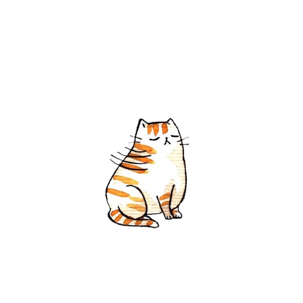 白灏宇:风景静物头像/猫咪/动漫/ 你总是能成为我热爱生活的原因