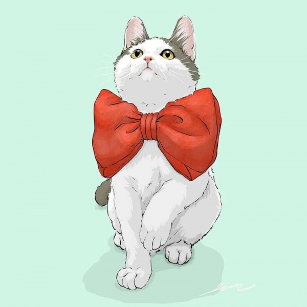 白灏宇:风景静物头像/猫咪/动漫/ 你总是能成为我热爱生活的原因