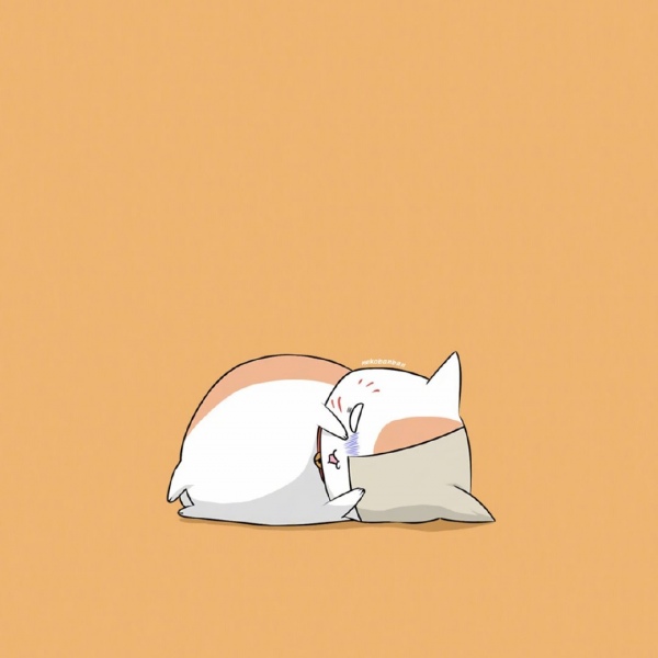 白灏宇:风景静物头像/猫咪/动漫/ 你总是能成为我热爱生活的原因