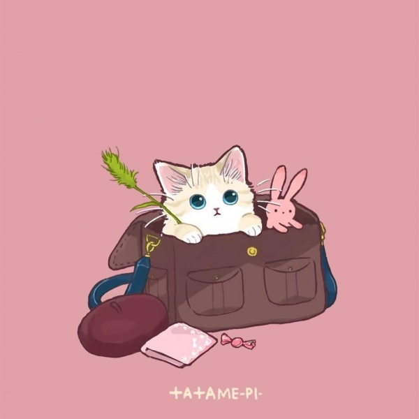 白灏宇:风景静物头像/猫咪/动漫/ 你总是能成为我热爱生活的原因