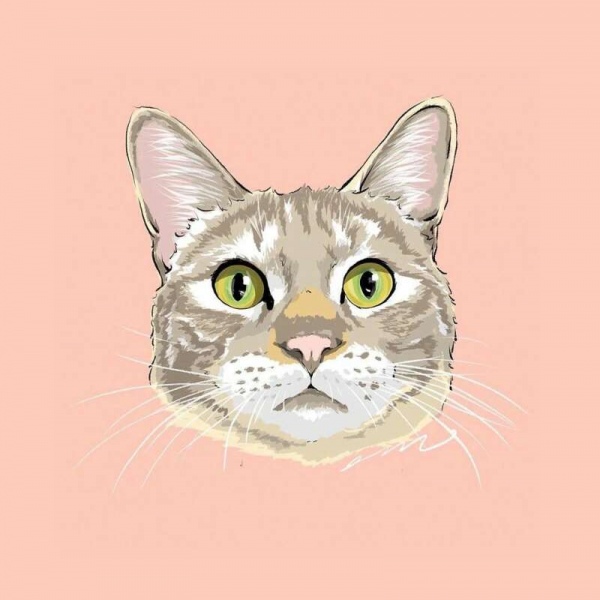 白灏宇:风景静物头像/猫咪/动漫/ 你总是能成为我热爱生活的原因
