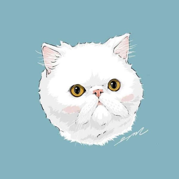 白灏宇:风景静物头像/猫咪/动漫/ 你总是能成为我热爱生活的原因