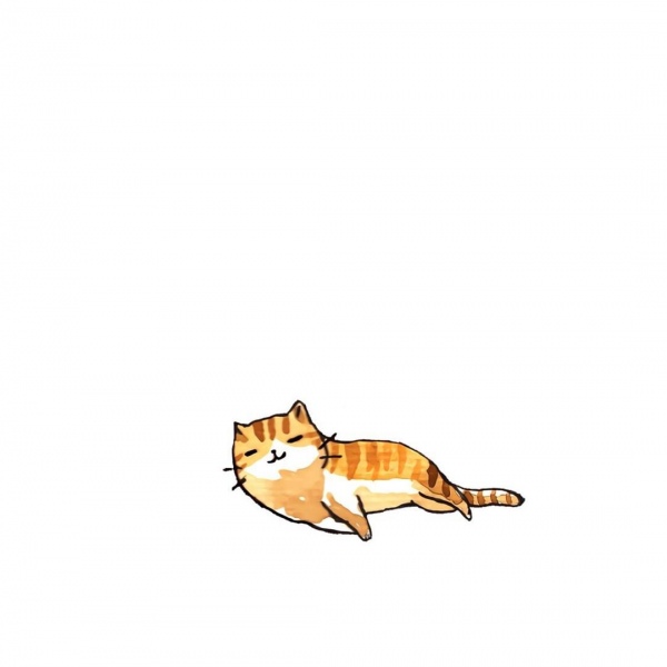 白灏宇:风景静物头像/猫咪/动漫/ 你总是能成为我热爱生活的原因