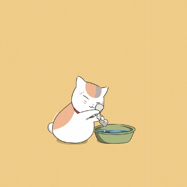 白灏宇:风景静物头像/猫咪/动漫/ 你总是能成为我热爱生活的原因