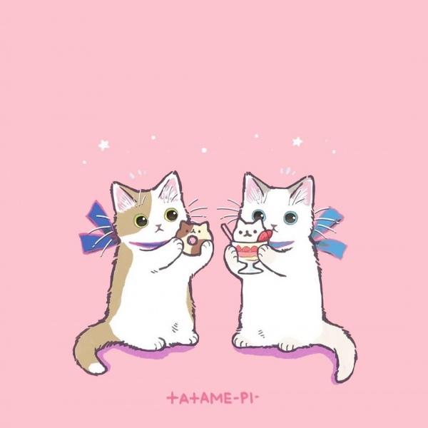 白灏宇:风景静物头像/猫咪/动漫/ 你总是能成为我热爱生活的原因