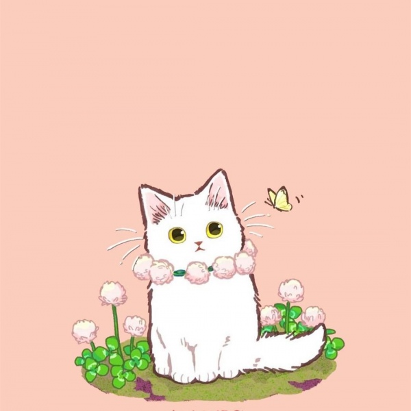 白灏宇:风景静物头像/猫咪/动漫/ 你总是能成为我热爱生活的原因