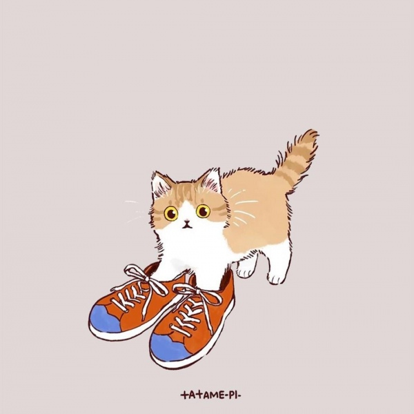 白灏宇:风景静物头像/猫咪/动漫/ 你总是能成为我热爱生活的原因