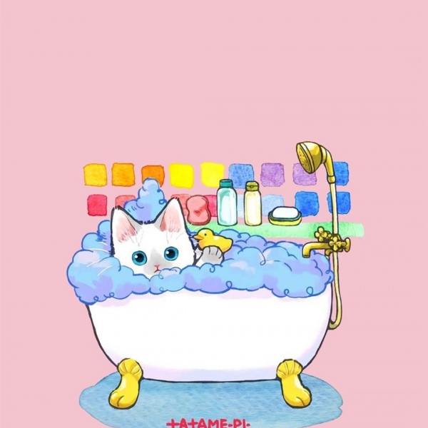 白灏宇:风景静物头像/猫咪/动漫/ 你总是能成为我热爱生活的原因