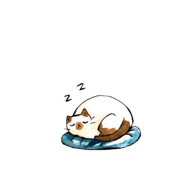 白灏宇:风景静物头像/猫咪/动漫/ 你总是能成为我热爱生活的原因