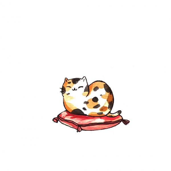 白灏宇:风景静物头像/猫咪/动漫/ 你总是能成为我热爱生活的原因