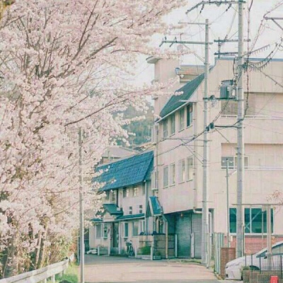 川/樱花