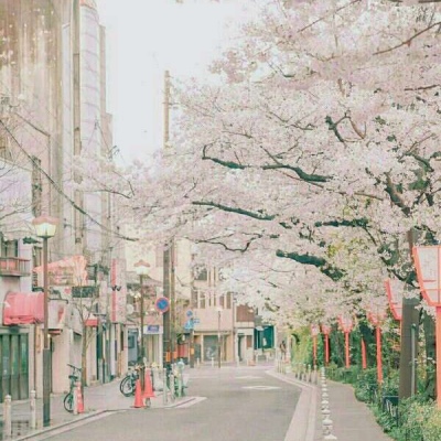 川/樱花