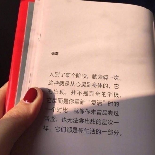 书集