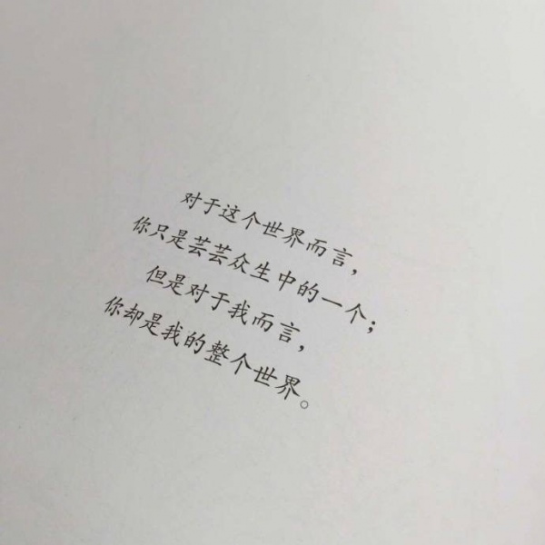 书集