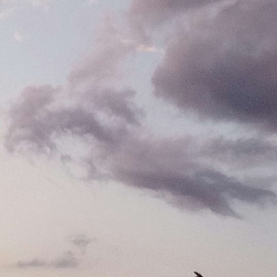天空云不加滤镜这个夏天很喜欢
