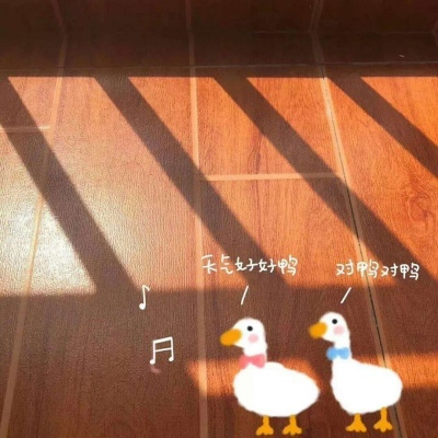 安奈 ins风背景图 我们各自努力 在最高点处重逢