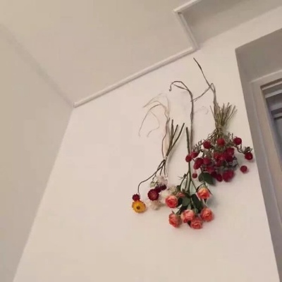 安奈 ins风背景图 我们各自努力 在最高点处重逢