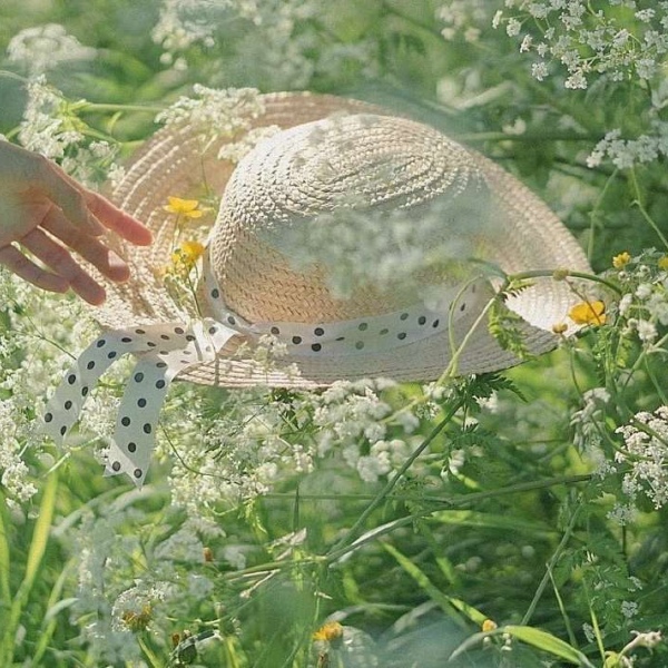 小清新/花丛/唯美风景/背景图/早安 遇见美好