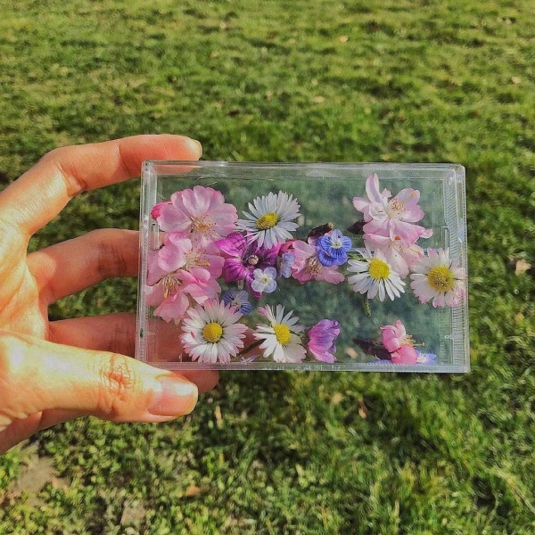 小清新/花丛/唯美风景/背景图/早安 遇见美好