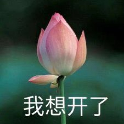最近超火的莲花头像