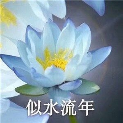 最近超火的莲花头像