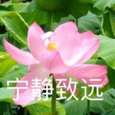 最近超火的莲花头像