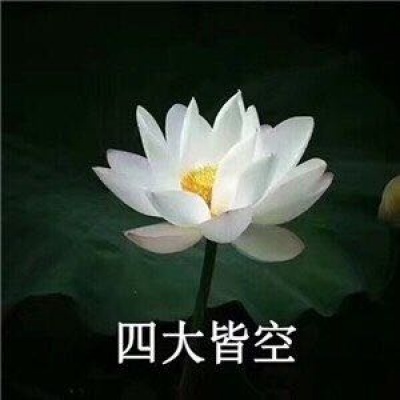 最近超火的莲花头像