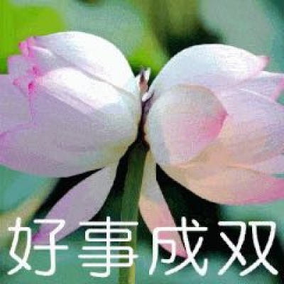 最近超火的莲花头像