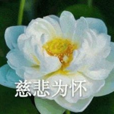 最近超火的莲花头像