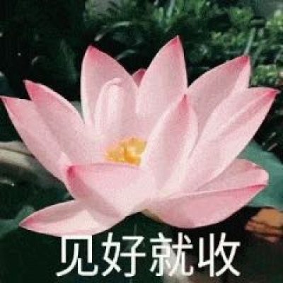 最近超火的莲花头像