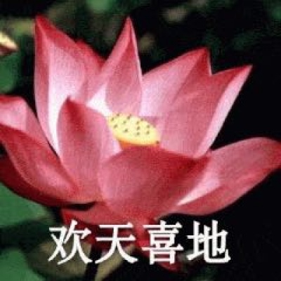 最近超火的莲花头像