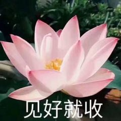 最近超火的莲花头像