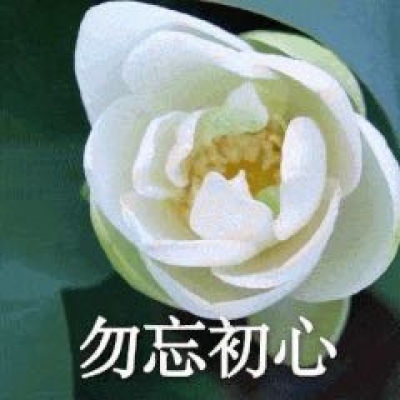 最近超火的莲花头像
