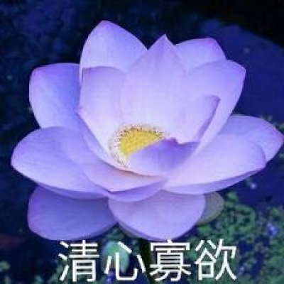 最近超火的莲花头像