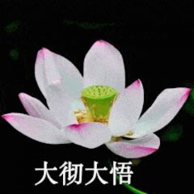 最近超火的莲花头像