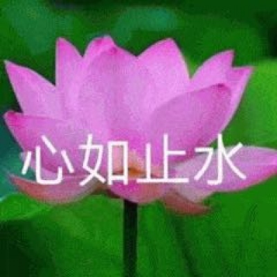最近超火的莲花头像