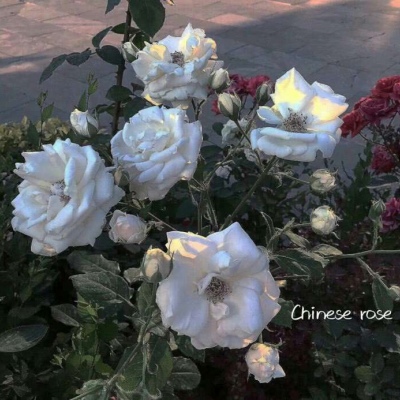 等待不可怕，可怕是不知道什么是尽头