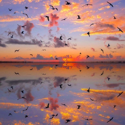 夕阳静景唯美 对你说说拜拜。