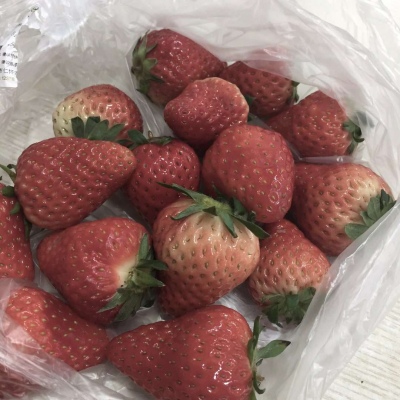 皆甜:甜蜜草莓背景图/把所有的喜欢酿成草莓味