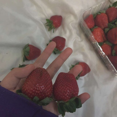 皆甜:甜蜜草莓背景图/把所有的喜欢酿成草莓味