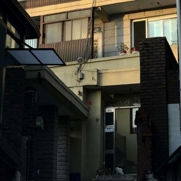 阿兴：ins日系背景图