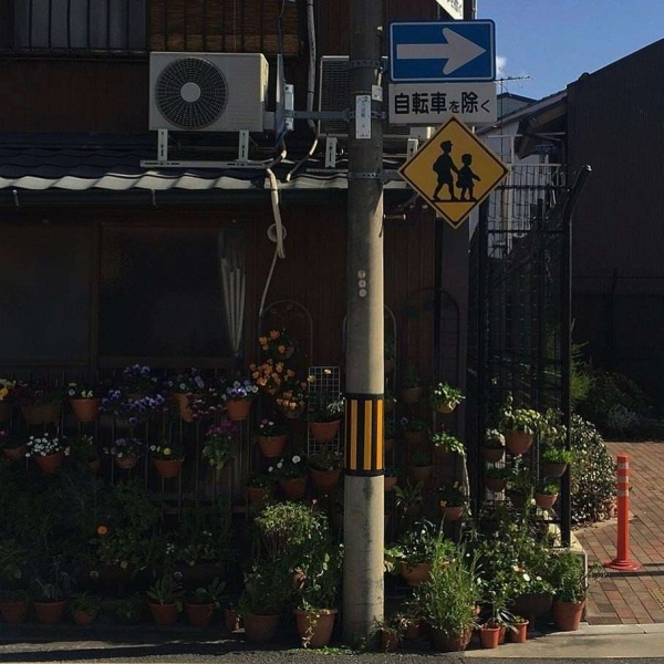 阿兴：ins日系背景图