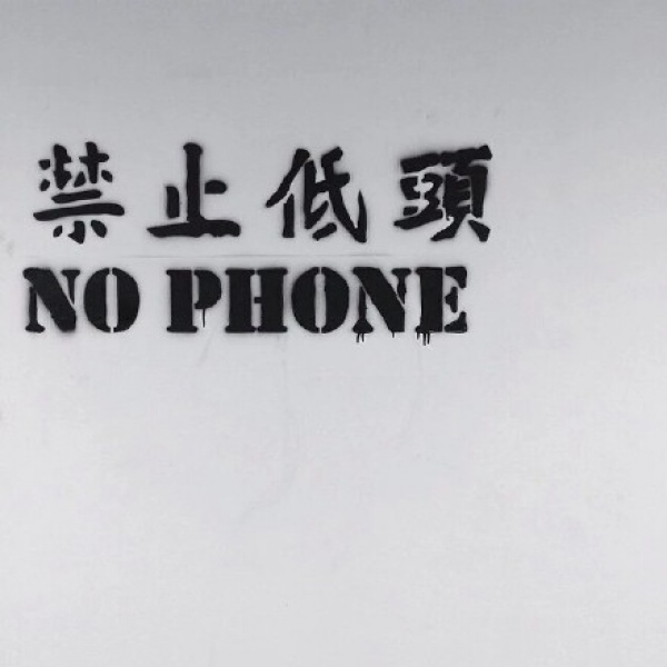 林一笑/景物背景图/中秋快乐?
