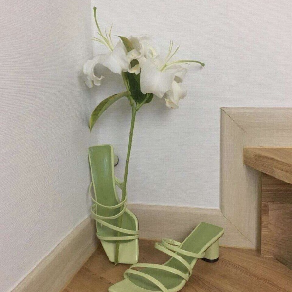 林一笑/景物背景图/中秋快乐?