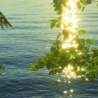 绿色唯美治愈系头像/但是怎么说 总觉得 你会是我的